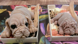 Puppy-shaped ice cream is flying off shelves in Taiwan