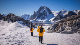 Intrepid Group to bring one lucky agent to Antarctica