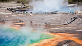 Man jumps barricade to soak feet in Yellowstone’s scorching hot springs