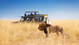 “Travellers get closer” on GLP’s Kenya safari tours