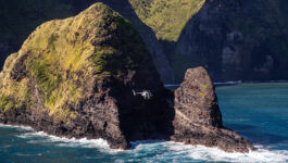 New doors-off tours of Kohala with Paradise Helicopters