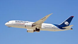 AeroMexico dished out discounts to anti-Mexicans after proving they had Mexican DNA