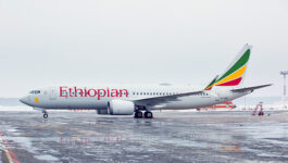 Ethiopian official says plane crash report due this week