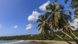 Grenada to develop unspoilt area with two new luxury hotels