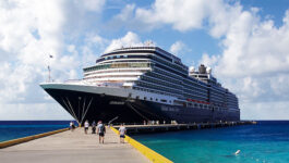 Holland America CEO speaks out as Zaandam, Rotterdam still stranded