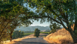 Reach Global Marketing appointed Canadian agency of record for Sonoma County Tourism