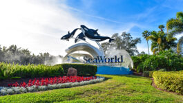 SeaWorld Orlando gets certified autism centre designation