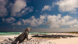 Win a trip for two to the Galapagos with Exodus