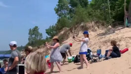 Michigan-beachgoers-left-flabbergasted-after-surprise-visitor-wanders-up-to-the-shore