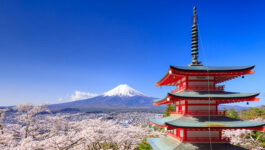 January winners announced for Tokyo Tourism’s Tokyo Travel Specialist contest