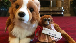 Little-girl-loses-toy-monkey-in-England-you-wont-believe-who-returned-it-to-her