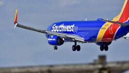 Southwest-pilots'-union-sues-Boeing-over-grounding-of-plane-2