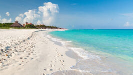 Viva-Wyndham-Resorts-to-lead-sargassum-clean-up-efforts-in-Playacar-Mexico-