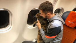 Passenger-pulls-the-ol-switcheroo-to-get-his-fat-cat-onboard-flight-3