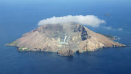 Canadian-actor-aboard-cruise-ship-saw-beginning-of-New-Zealand-volcano-eruption