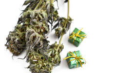 Whats-that-smell-Marijuana-Christmas-gifts-sniffed-out-at-airport