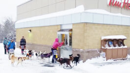 Dogsledders-were-seen-mushing-their-way-through-Tim-Hortons-drive-thru