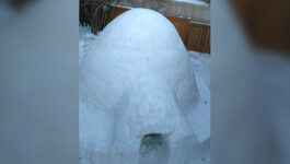 Spotted-on-Airbnb-15-night-igloo-in-someones-backyard