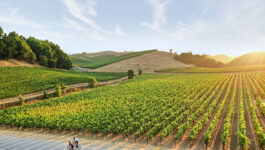 Top-5-reasons-to-book-Sonoma-County-this-spring-5-2