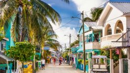 Downloading health app no longer required for travellers, says Belize