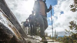 G-Adventures-Inca-Trail-Step-Challenge-starts-today-3