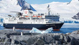 Intrepid launches limited-time Antarctica sale