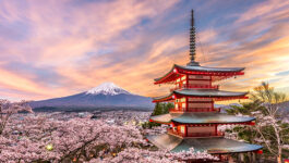 Red Label Vacations introduces HIS-TravelJapan