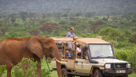 Small group journeys now available with African Travel, Inc.