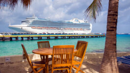 Princess Cruises cancels all cruises through March 31, 2021