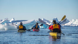 Intrepid launches limited-time Antarctica sale