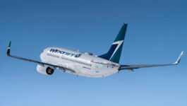 WestJet’s Amanda Ierfino, Director, Sales, issues statement on WestJet Agent