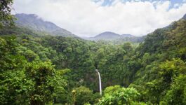 Costa Rica named a member of the Global Sustainable Tourism Council