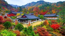 Register now to become a Korea Destination Specialist