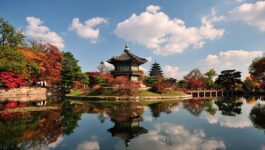 Become a Korea Specialist with the ‘Imagine Your Korea’ Learning Centre program