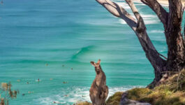 Register now for Tourism Australia webinar, April 7