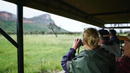 Bookings open for Collette’s new safari tour