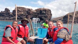 Intrepid Travel launches first trip in Comoros with focus on endemic wildlife