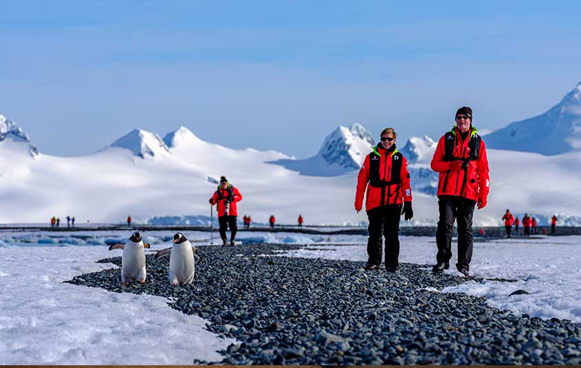 Hurtigruten Expeditions celebrates Travel Advisor Appreciation Day