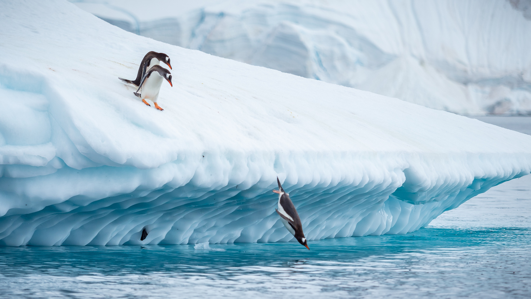  Hurtigruten Expeditions’ Summer Sail takes extra 10% off already reduced fares
 