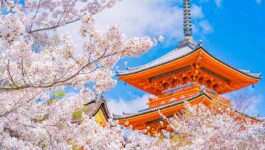 Goway announces Japan Odyssey packages with guaranteed departures following high demand