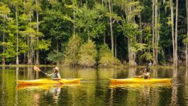 GO BIG, GET BOLD with Outdoor Adventures in Kissimmee, Florida